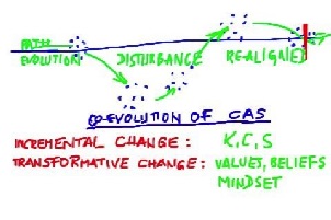 NEXT: research - complex adaptive system (CAS), permanent change ..., 